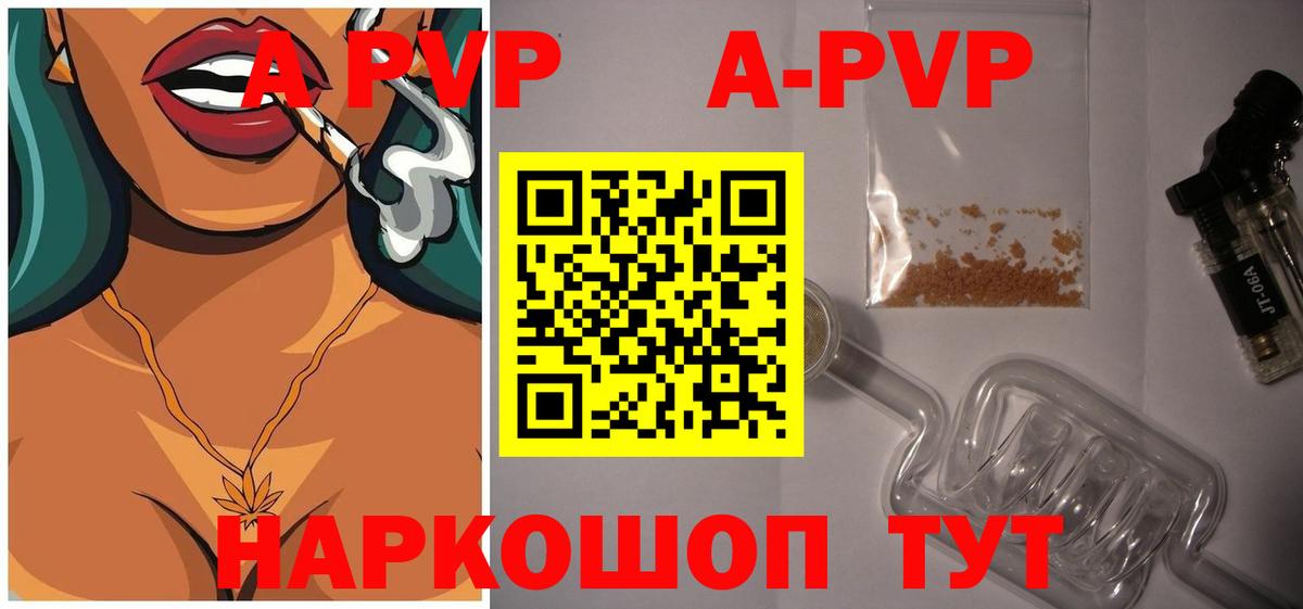 Альфа ПВП СК КРИС Кизляр